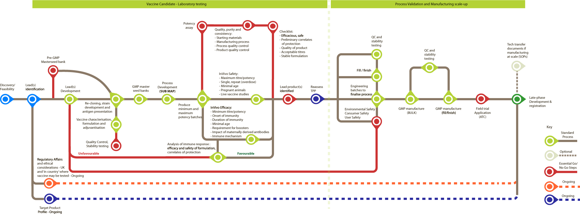 Vaccine Development: Veterinary - Early-phase Development